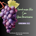Farmhouse Ale Vendemmia 2022 Uva Americana           (Bottiglia da 33cl)